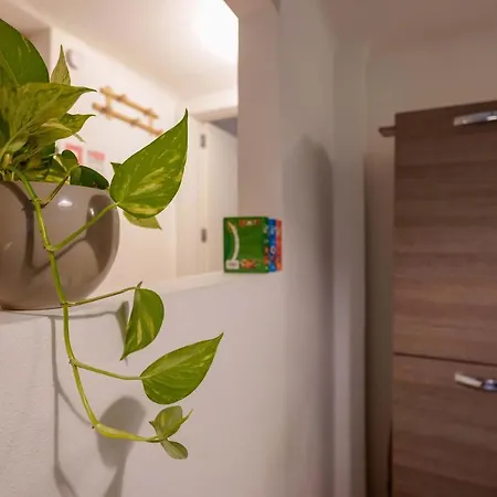 Cavaticcio 아파트 볼로냐